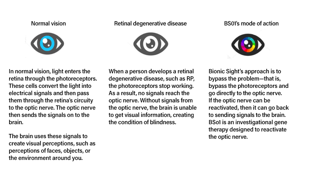 Retinitis Pigmentosa technology chart