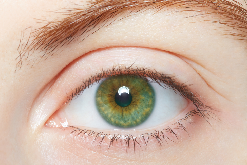 dark olive green eyes